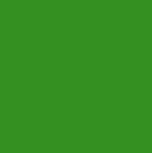 Leutenegger Quilters Cotton Solid - Lime