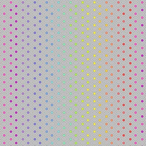 Tula Pink - Hexie Rainbow - FQ