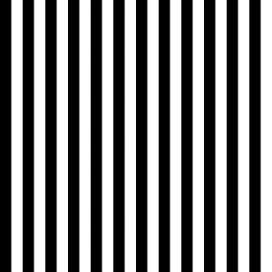 Tula Pink - Stripes - FQ